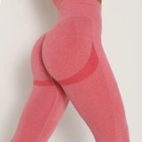 WOMEN SEAMLESS LEGGINGS